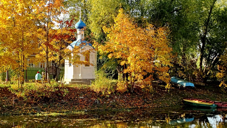 Фото жизнь