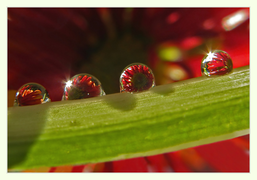Фото жизнь (light) - Marisha - корневой каталог - ***