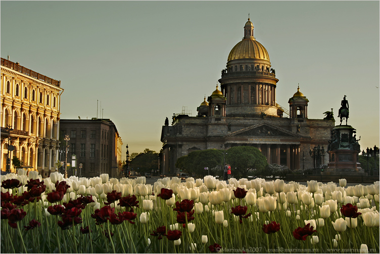 Фото жизнь - Marina Antonova - корневой каталог - Исаакий с тюльпанами