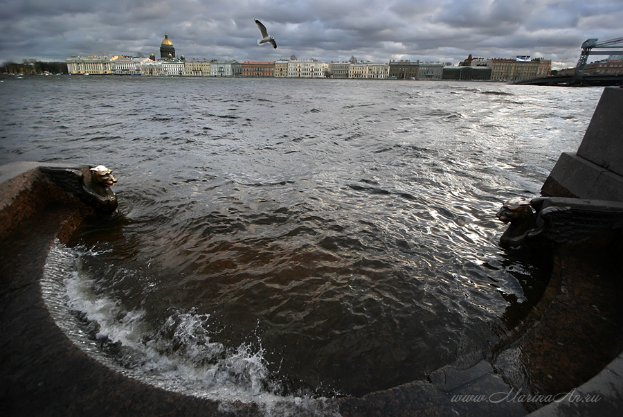 Фото жизнь - Marina Antonova - корневой каталог - Наводнение (10 января 2007 )