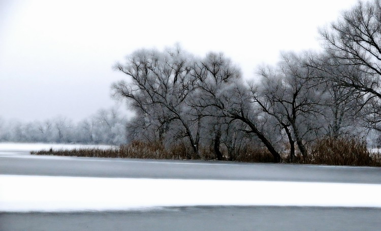Фото жизнь (light) - Rostik - корневой каталог - ***