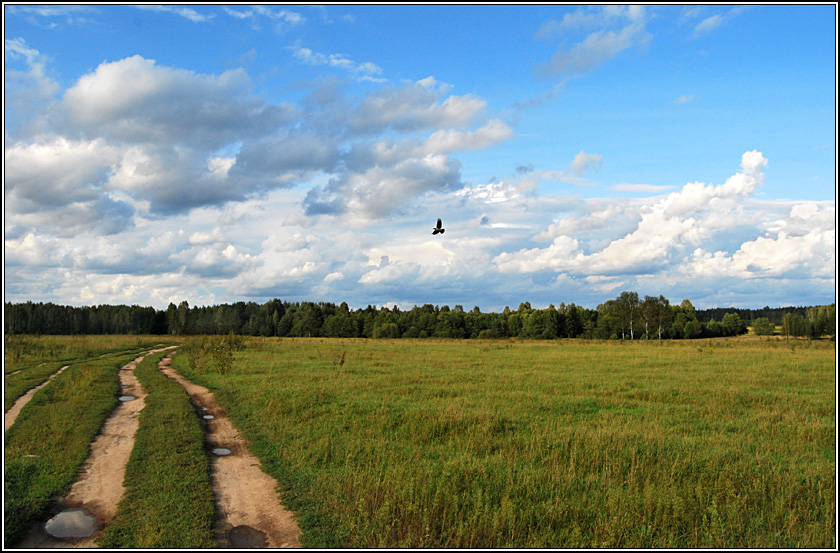 Фото жизнь