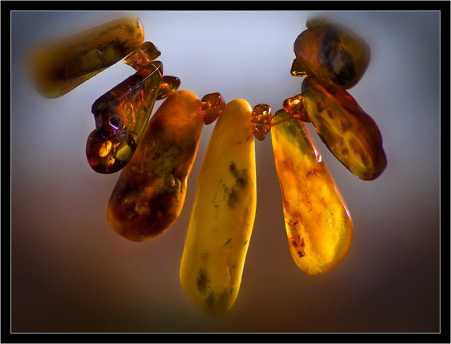 Фото жизнь (light) - kuchum13 - Растения, насекомые, мелкая живность, ракушки, камушки - Янтарь