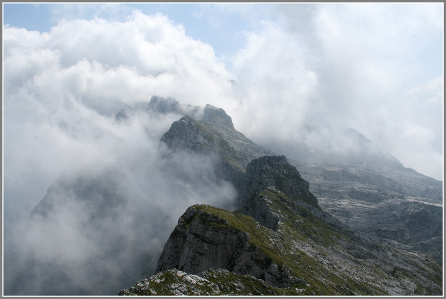 Фото жизнь (light) - basils - корневой каталог - путь на Ромбон