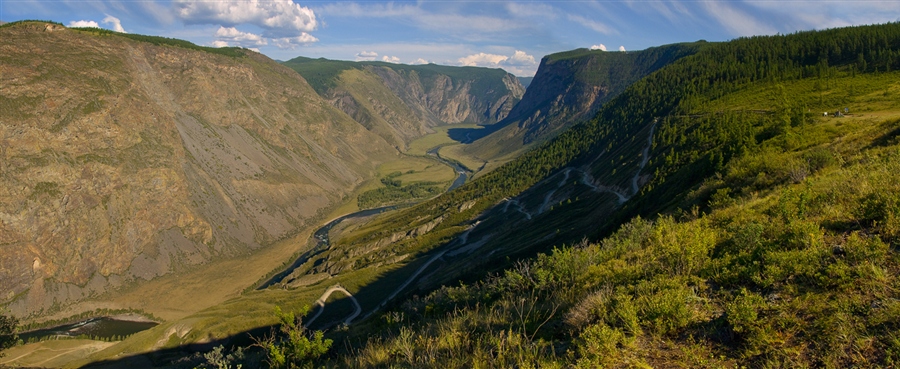 Фото жизнь