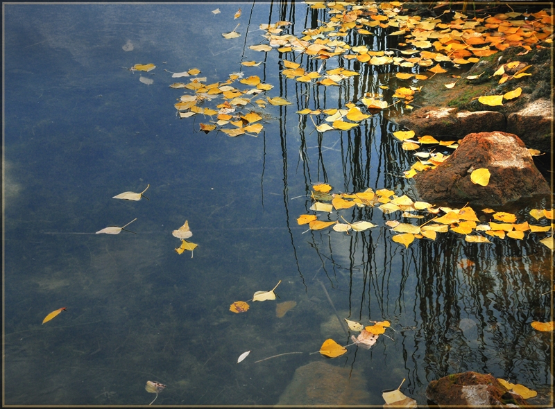 Фото жизнь - Marishka - корневой каталог - Осенняя грусть