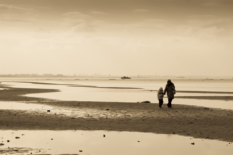 Фото жизнь (light) - Дмитрий Застер - корневой каталог - На суше