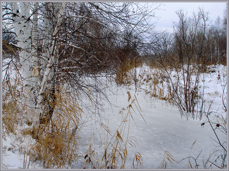 Фото жизнь (light) - spwand - Пейзаж - И пришла зима
