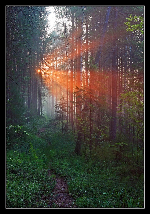 Фото жизнь
