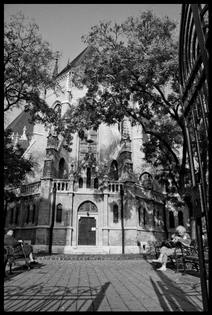 Фото жизнь (light) - Lizard - жизнь города - вход