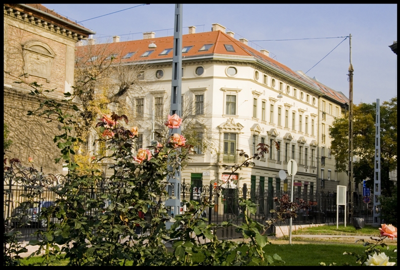 Фото жизнь (light) - Lizard - жизнь города - город, улица