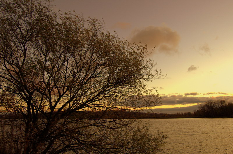 Фото жизнь (light) - Rostik - корневой каталог - ***