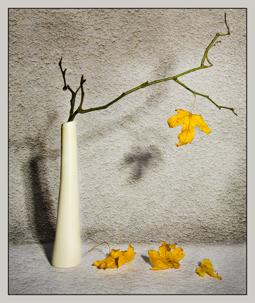 Фото жизнь (light) - Melonik - Flowers and Still life - Drop shadows 2