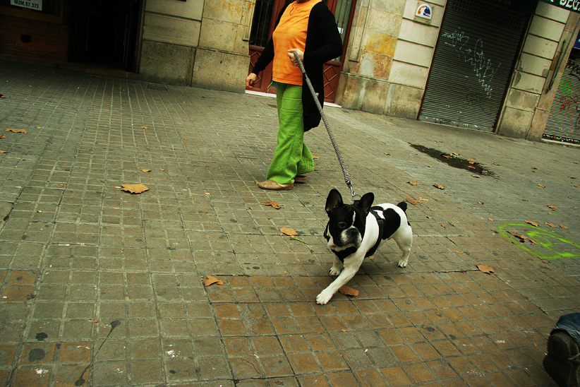 Фото жизнь (light) - npanchina - street photo - про веселый день