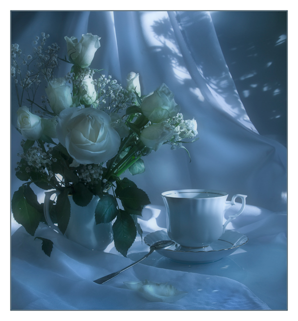 Фото жизнь - Melonik - Flowers and Still life - Чашка чая лунной ночью