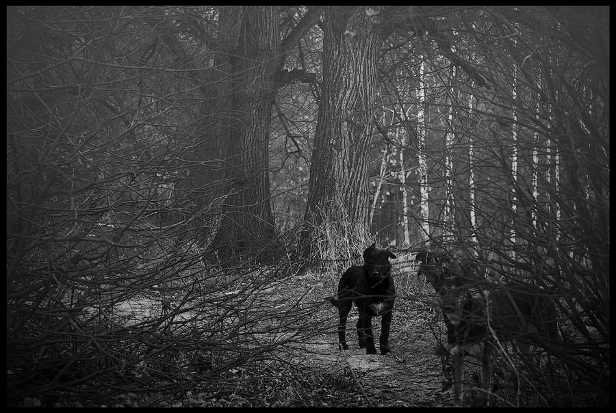 Фото жизнь (light) - smanyshev - корневой каталог - Сталкер два.