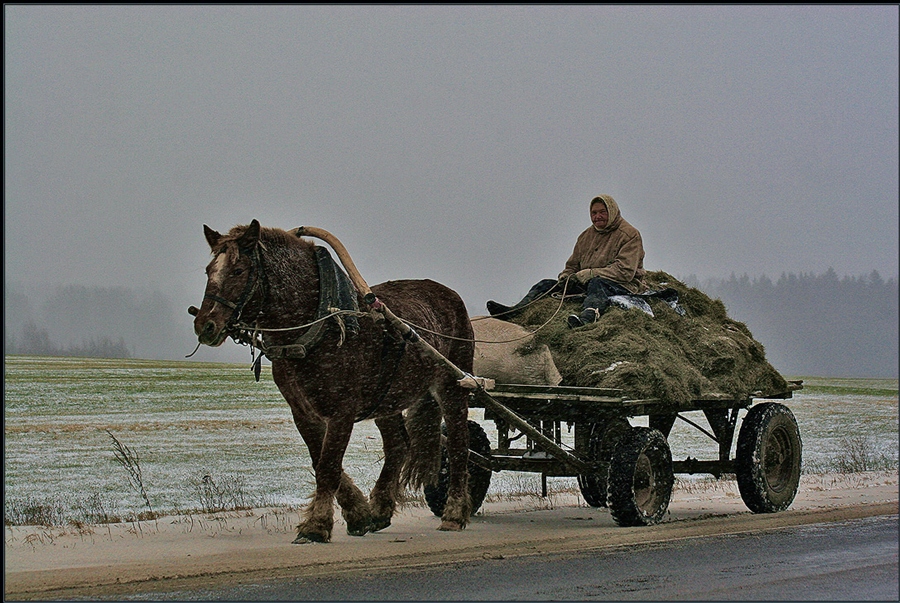 Фото жизнь