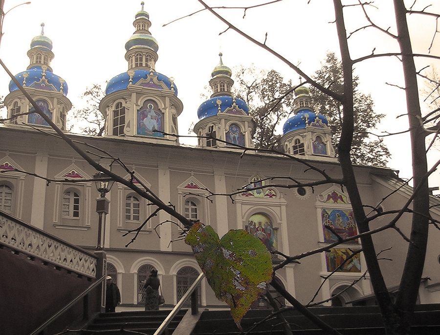 Фото жизнь