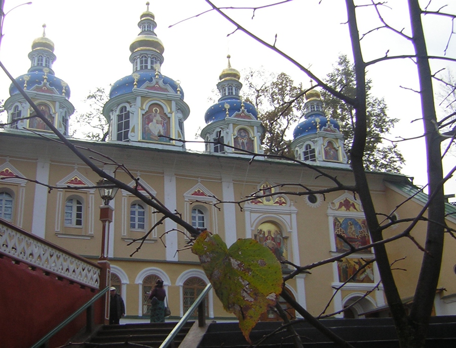 Фото жизнь