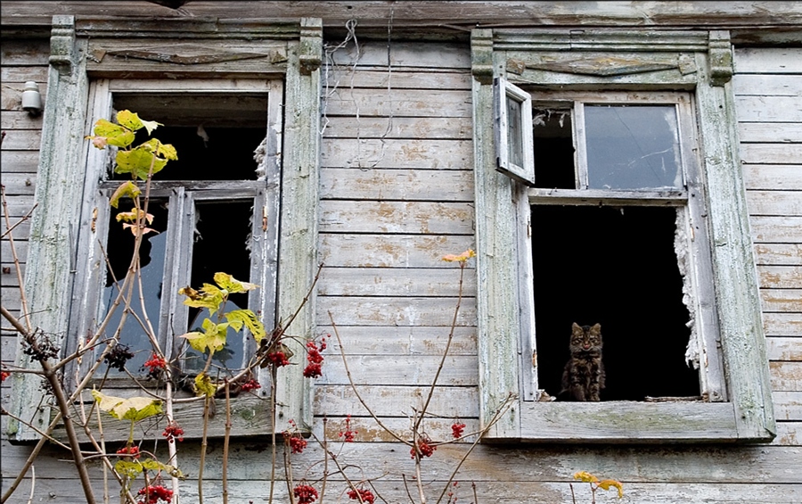 Фото жизнь