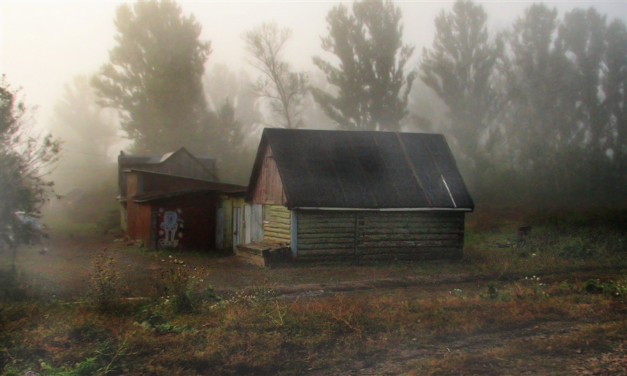 Фото жизнь
