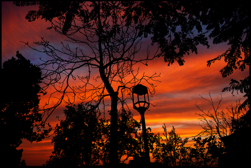 Фото жизнь (light) - Колоярский Ави - корневой каталог - Sunset In The Old Garden