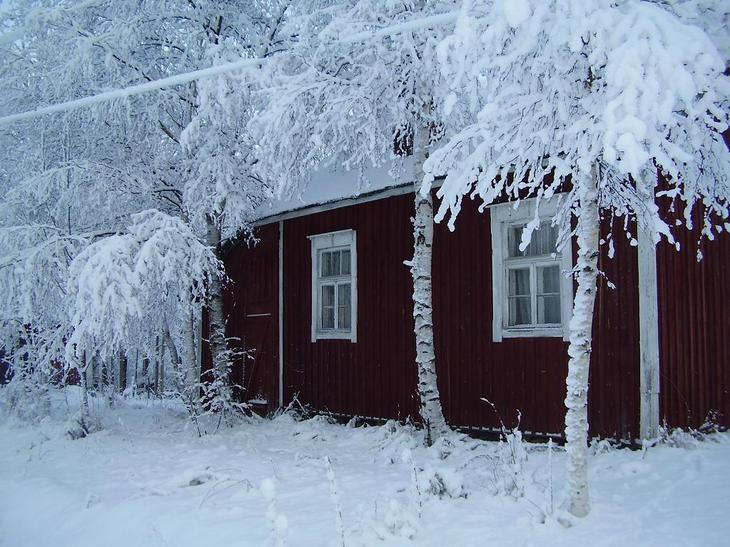 Фото жизнь (light) - Solveig - Финские картинки - белыи наряд зимы