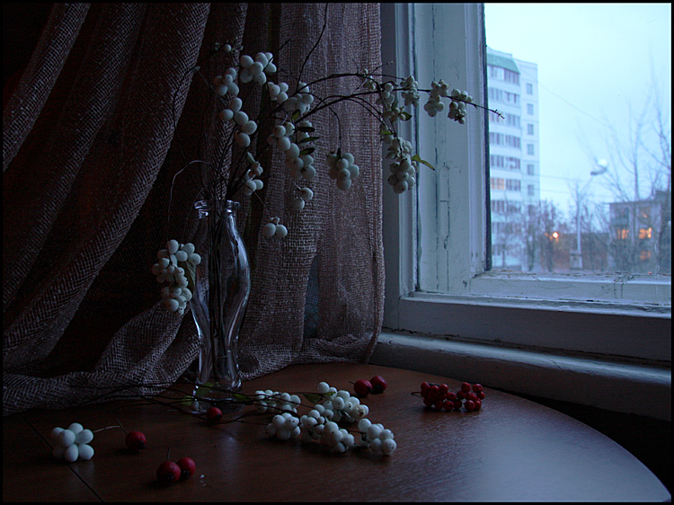 Фото жизнь (light) - Ольга Енаева - натюрморты,цветы - тихий вечер