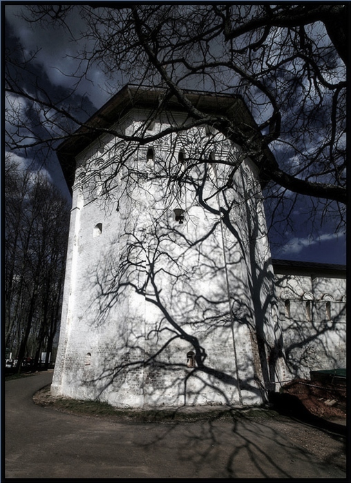 Фото жизнь