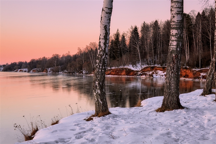 Фото жизнь