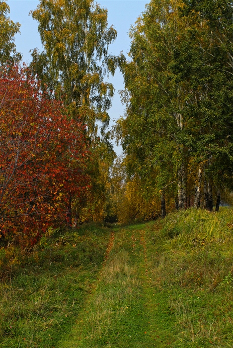 Фото жизнь