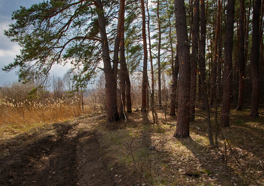 Фото жизнь