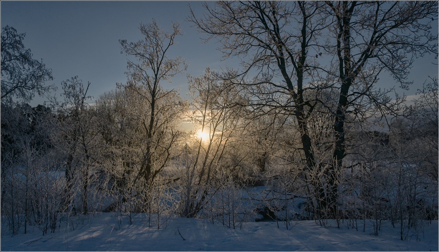 Фото жизнь