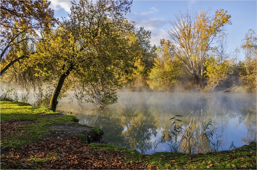 Фото жизнь