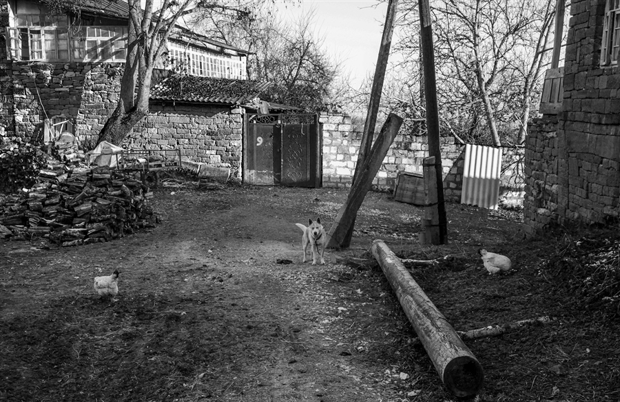 Фото жизнь