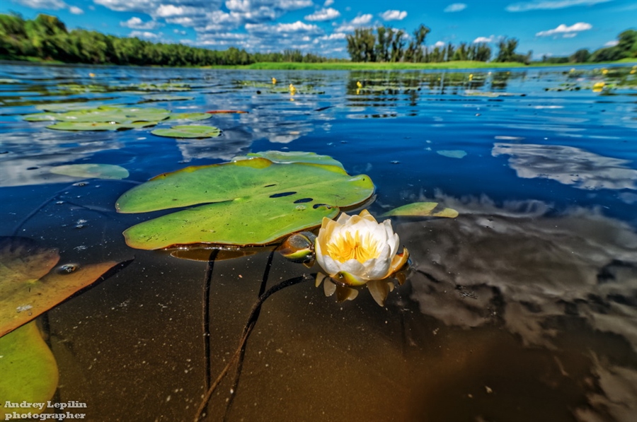 Фото жизнь