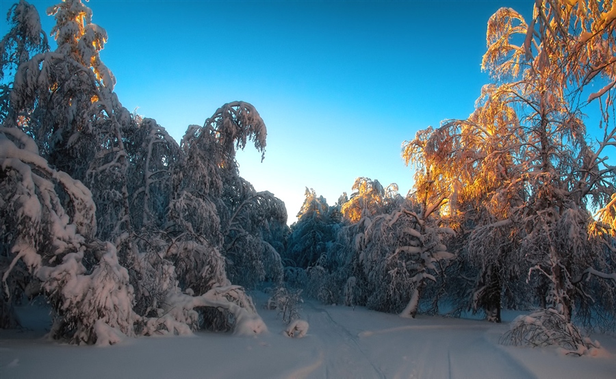 Фото жизнь