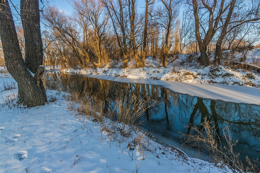 Фото жизнь