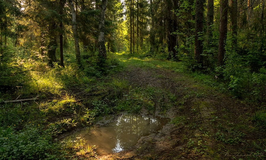 Фото жизнь