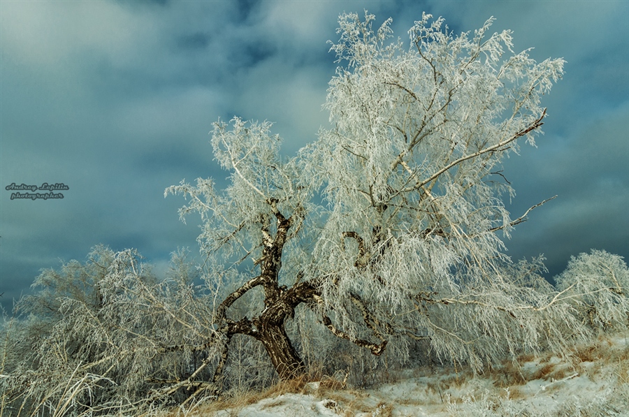 Фото жизнь