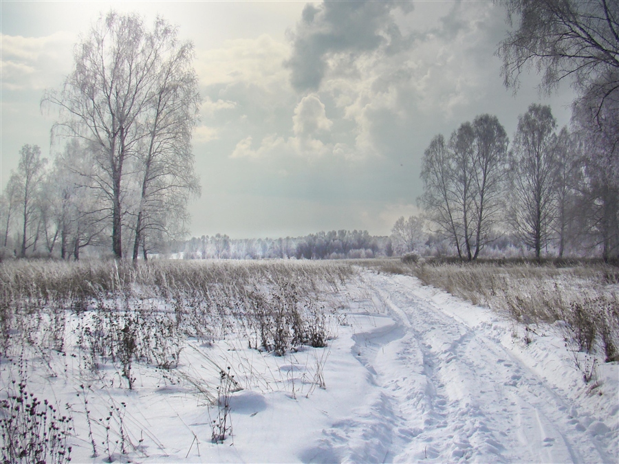 Фото жизнь