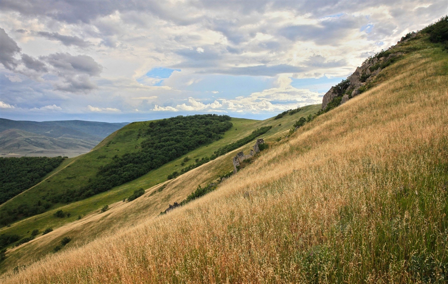 Фото жизнь