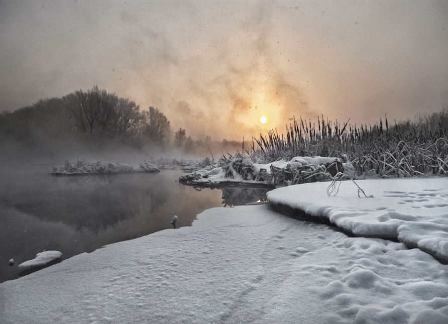 Фото жизнь