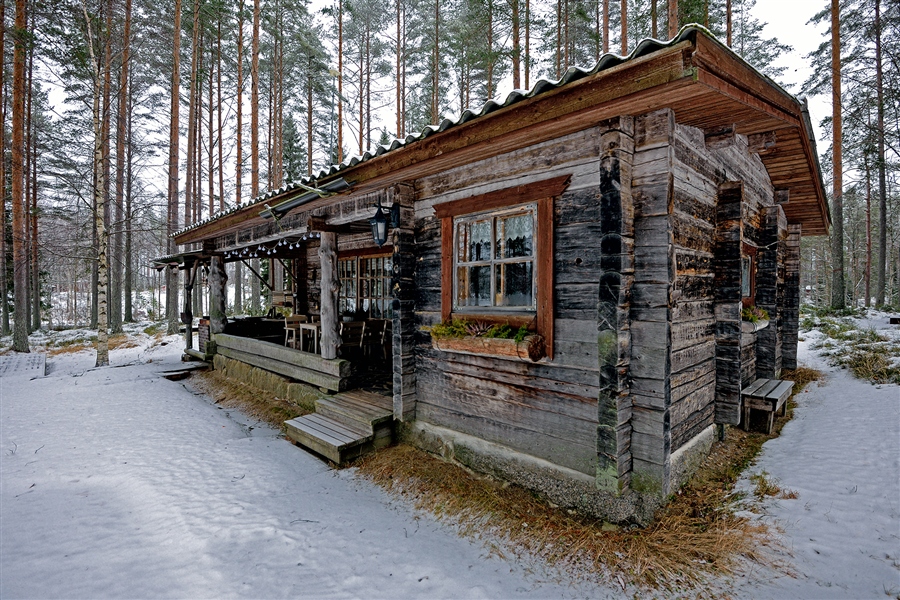 Фото жизнь