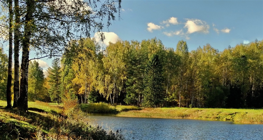 Фото жизнь