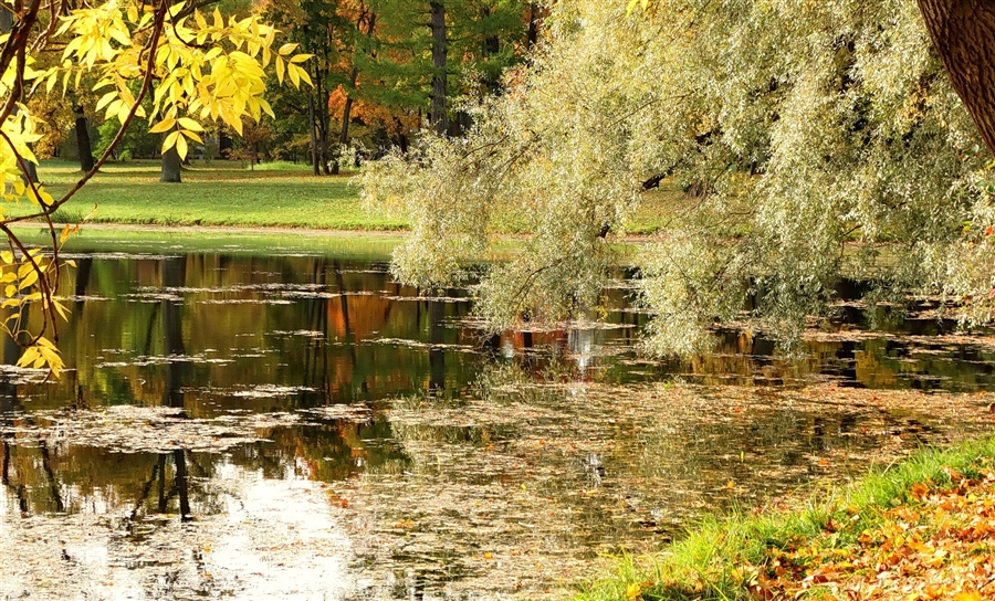 Фото жизнь
