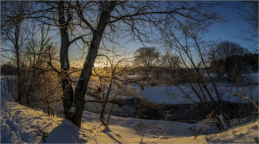 Фото жизнь