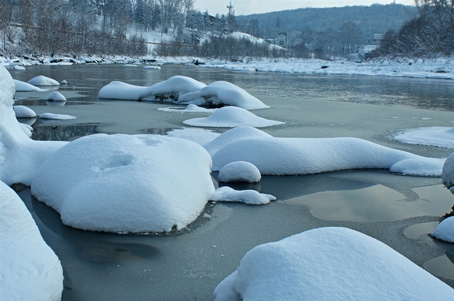 Фото жизнь