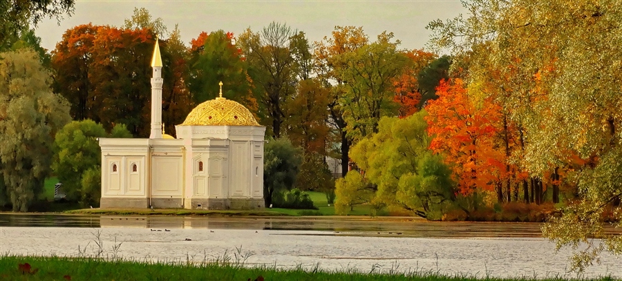 Фото жизнь