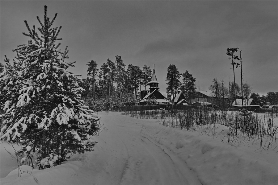 Фото жизнь